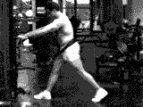 Cable Lunge