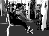 Cable One Arm Row