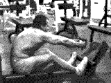 Cable Seated Row