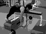 Cambered Bar Lying Row