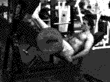 Lever 45° Leg Press