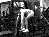 Lever Bent-over Row