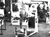 Lever Hip Flexion