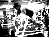 Lever Incline Row