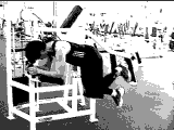 Lever Kneeling Hip Extension