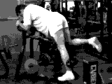 Lever Kneeling Leg Curl