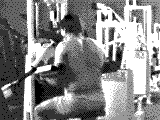 Lever Lateral Raise