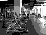 Lever Rear Lunge