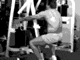 Lever Seated Row