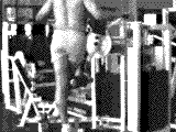 Lever Standing Hip Adduction