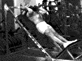 Sled Hack Squat