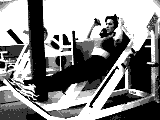 Sled Hack Squat