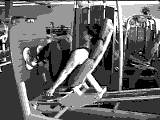 Sled Seated Leg Press