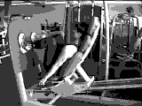 Sled Seated Leg Press