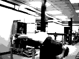 Weighted Hamstring Raise