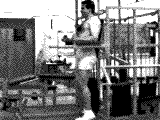 Weighted Vertical Leg Raise